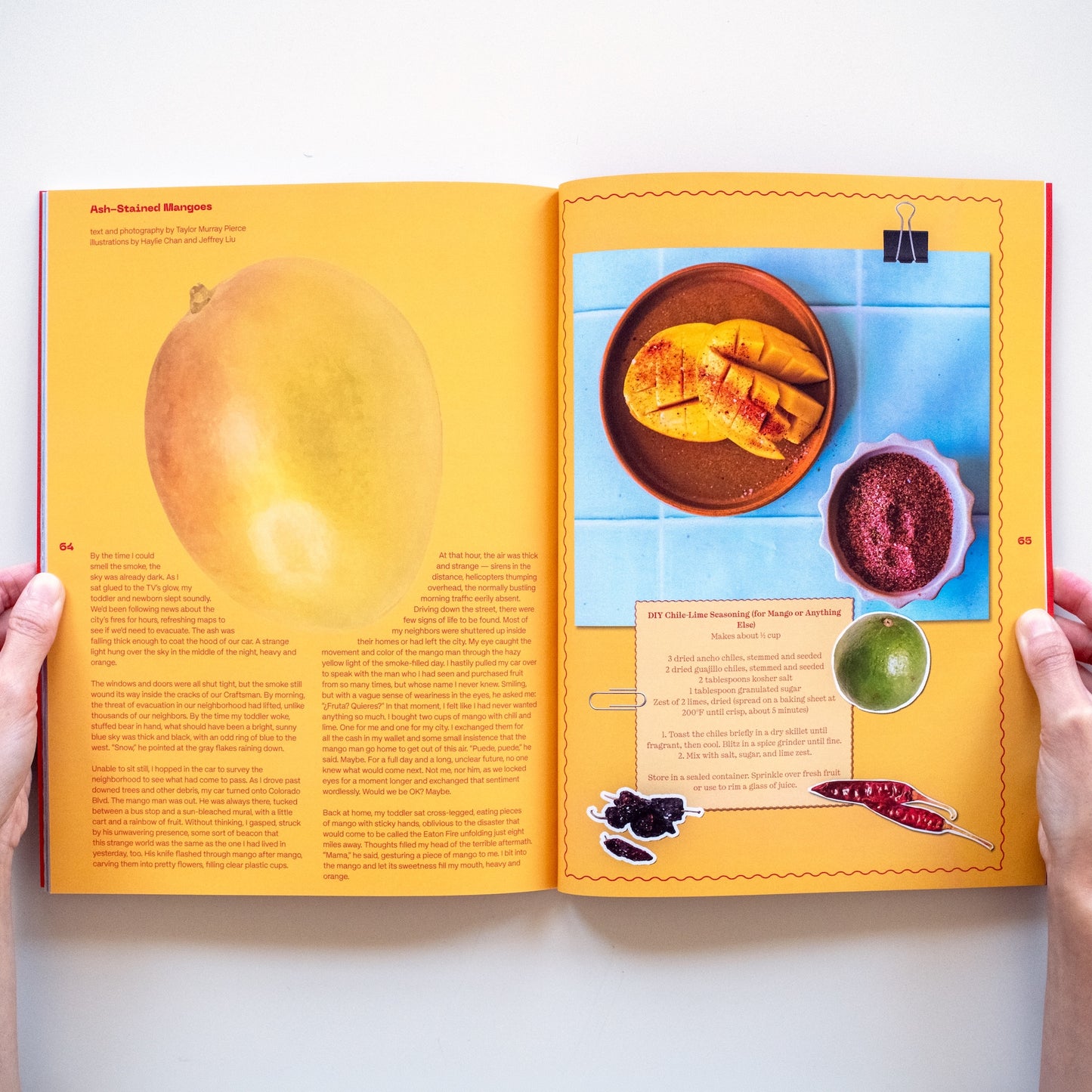To-Go Zine Issue 1: Care Package